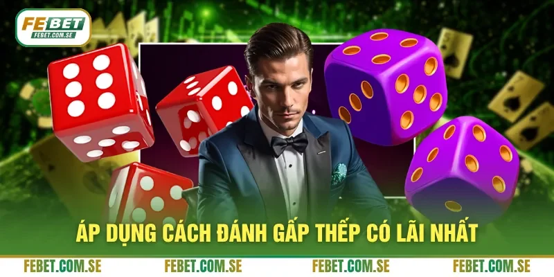 Áp dụng cách đánh gấp thếp có lãi nhất